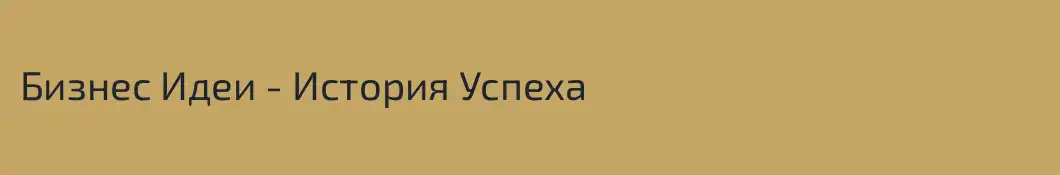 Бизнес Идеи - История Успеха